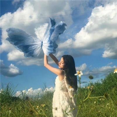 合子异种